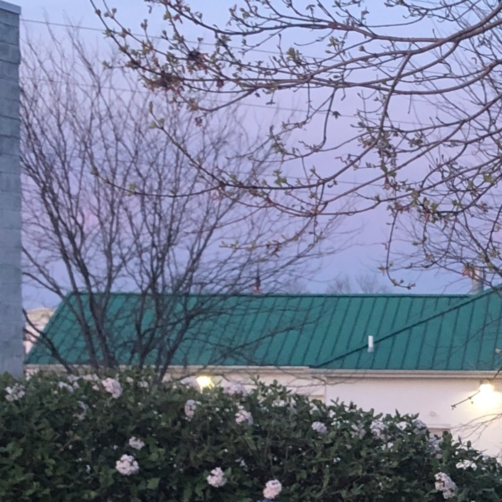 Meet your Posher, Faith